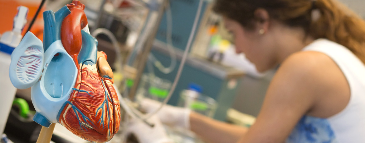Banner: Cardiovascular Technology